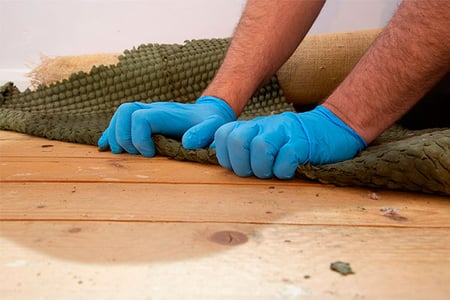 How to Remove Urine Odor from Wood Subfloors