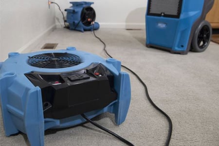 Restoration Basics III: Keys to Balanced, Effective Drying